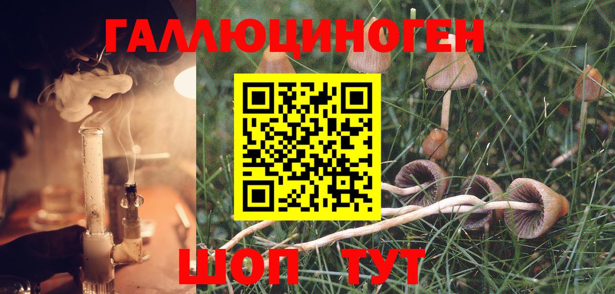 Псилоцибиновые грибы MAGIC MUSHROOMS Мелеуз