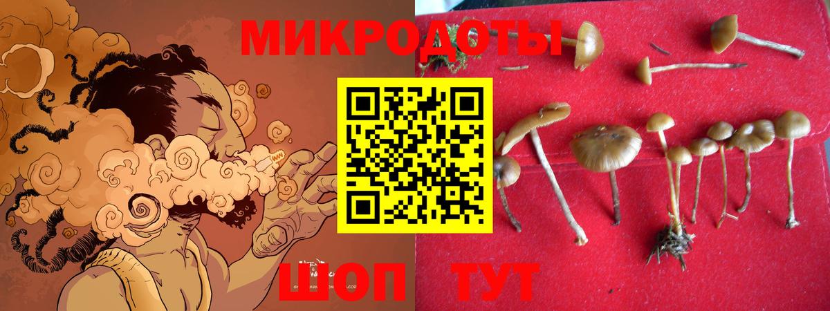 Псилоцибиновые грибы Magic Shrooms  Галлюциногенные грибы MAGIC MUSHROOMS  Вход с VPN  Мелеуз 